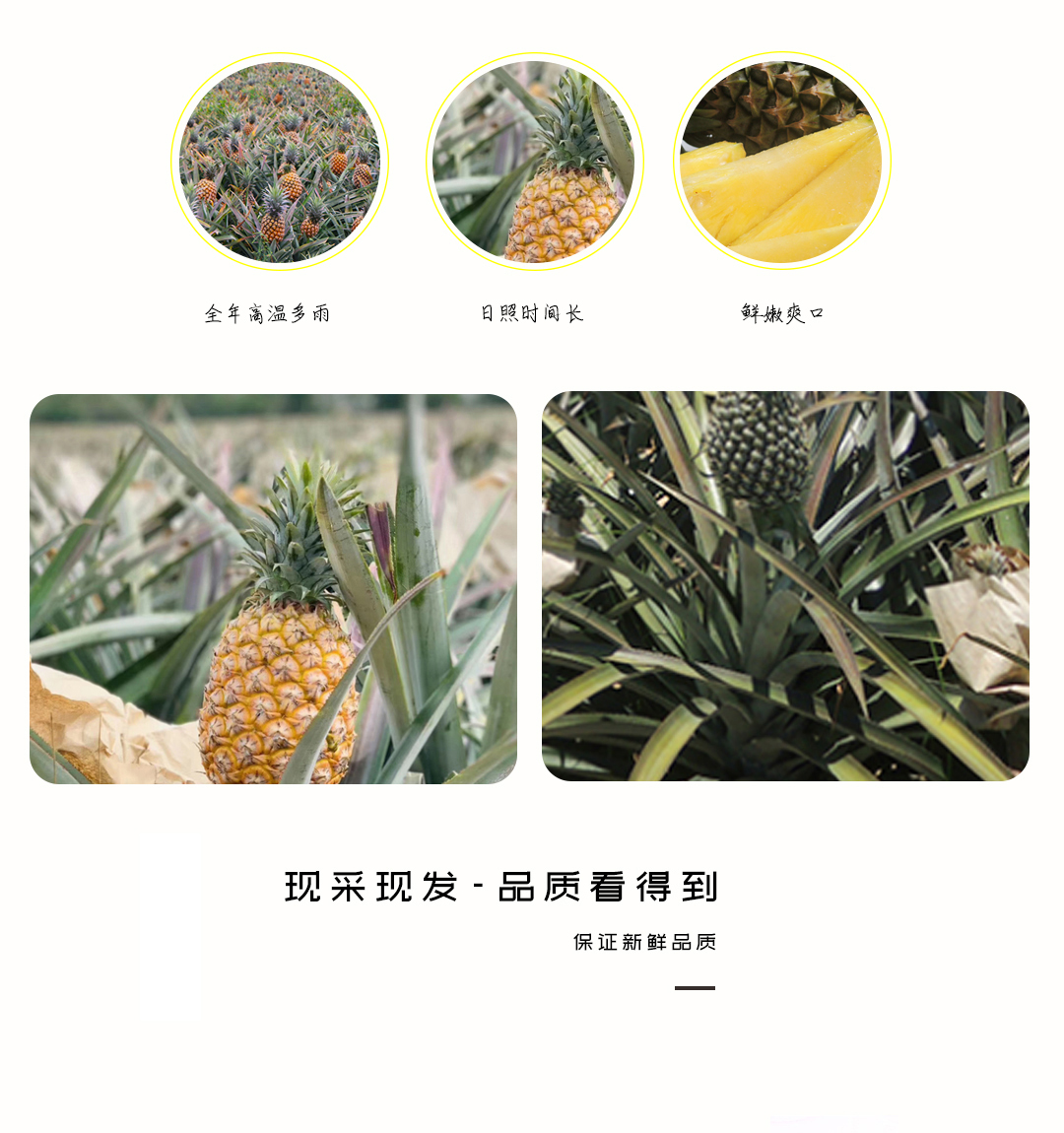 20190523/b3abe455098bae1fc28e44de6c8345f0.jpg